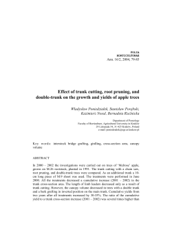 Effect of trunk cutting, root pruning, and double