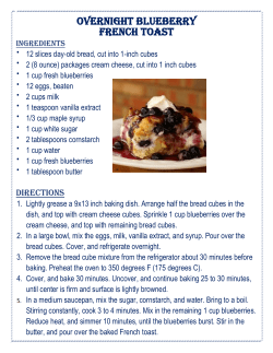 overnight blueberry french toast
