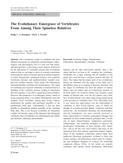 The Evolutionary Emergence of Vertebrates From