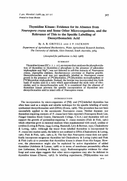 Thymidine Kinase: Evidence for its Absence from