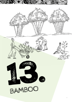 13.bamboo - WithOnePlanet