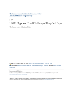 HSUS Opposes Cruel Clubbing of Harp Seal Pups