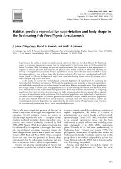 Habitat predicts reproductive superfetation and body