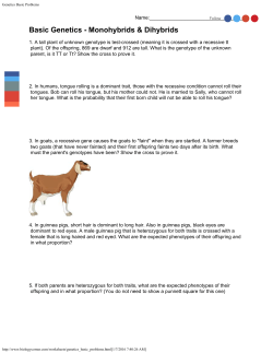 Genetics Basic Problems