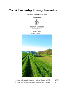Carrot Loss during Primary Production
