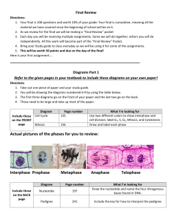 Actual pictures of the phases for you to review: Interphase Prophase