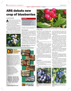 ARS debuts new crop of blueberries