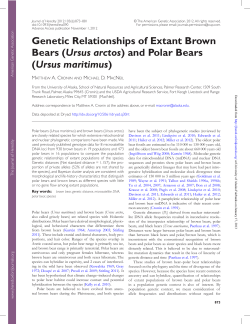 and Polar Bears - University of Alaska Fairbanks