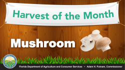 HOM Mushroom PowerPoint