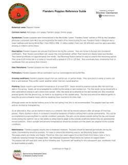 Flanders Poppies Reference Guide