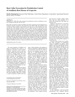 Root Collar Excavation for Postinfection Control of