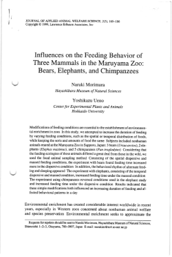 Influences on the Feeding Behavior of Three Mammals in the