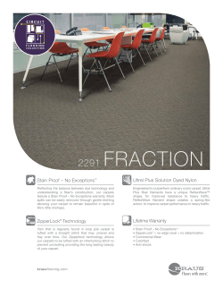 2291 FRACTION - Kraus Flooring