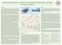 Epiphy5c Bryophyte Diversity: a comparison between angiosperm