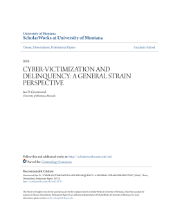 cyber-victimization and delinquency: a general strain perspective