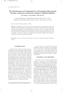 The Ultrastructure of Compound Eye of Formosan Subterranean