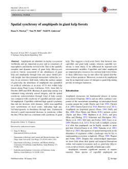 Spatial synchrony of amphipods in giant kelp forests