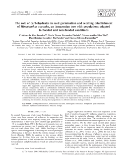 The role of carbohydrates in seed germination