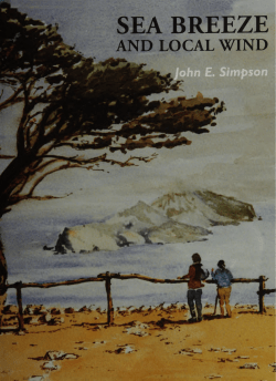 Sea Breeze and Local Wind