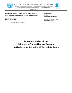 Implementation of the Minamata Convention on Mercury in the