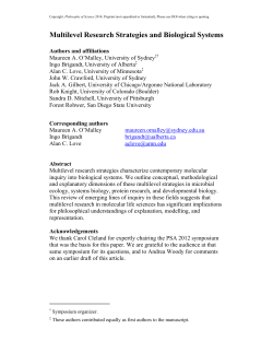 Multilevel Research Strategies and Biological Systems