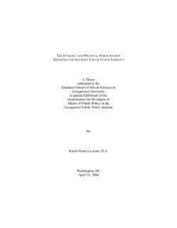 The Internet and Political Participation The Effect