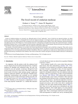The fossil record of cnidarian medusae