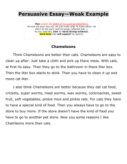Persuasive Essay&mdash;Weak Example