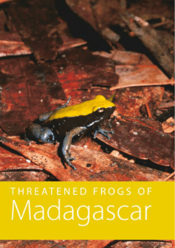 THREATENED FROGS OF Madagascar