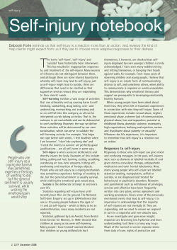 Self-injury notebook