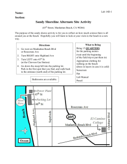 Sandy Shoreline Alternate Site Activity