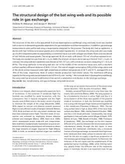 The structural design of the bat wing web and its possible role in gas