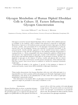 Glycogen Metabolism of Human Diploid Fibroblast Cells in