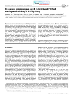 Heparanase enhances nerve-growth-factor
