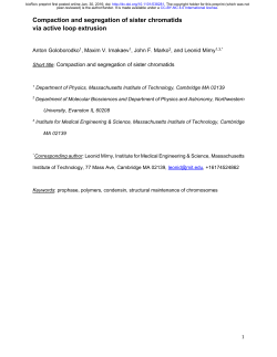 Compaction and segregation of sister chromatids via active