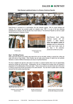 Paint brush factory focus 1