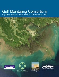 Gulf Monitoring Consortium