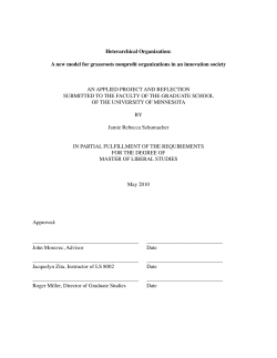 Heterarchical Organization