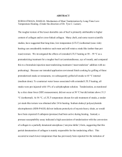 ABSTRACT SURIAATMAJA, DAHLIA. Mechanism of Meat