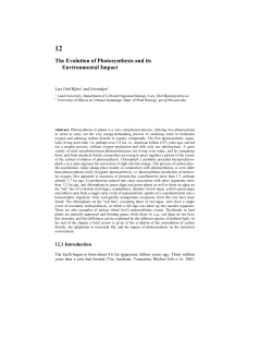 The Evolution of Photosynthesis and its Environmental
