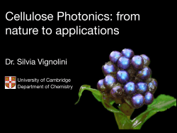 Cellulose Photonics: from nature to applications