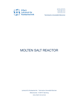 molten salt reactor - Lehrstuhl f&uuml;r Nukleartechnik