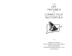 Life History of Connecticut Butterflies