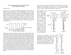 separation of plant pigments using - H