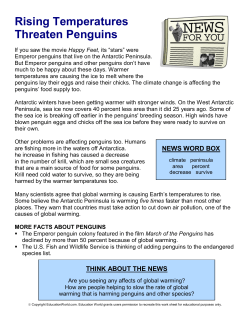 Rising Temperatures Threaten Penguins