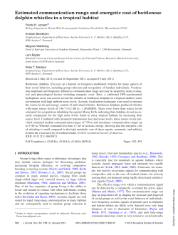 Estimated communication range and energetic cost of bottlenose