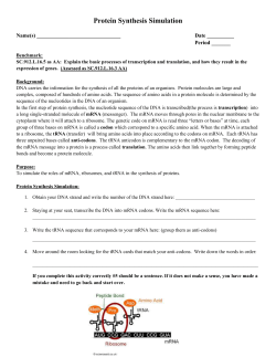 Protein Synthesis Simulation - The School District of Palm Beach