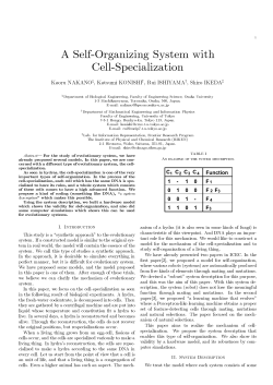 A Self-Organizing System with Cell