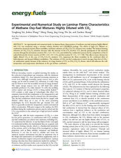 Experimental and Numerical Study on Laminar Flame