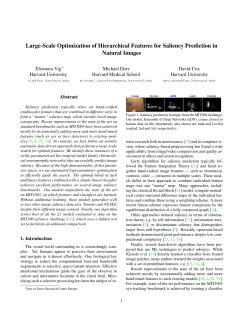 Large-Scale Optimization of Hierarchical Features for Saliency